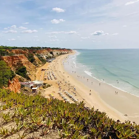 Villa Vtii & Vti 2 X Private With Pool And Garden Albufeira